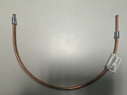 Wp WP019