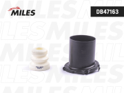 Miles DB47163